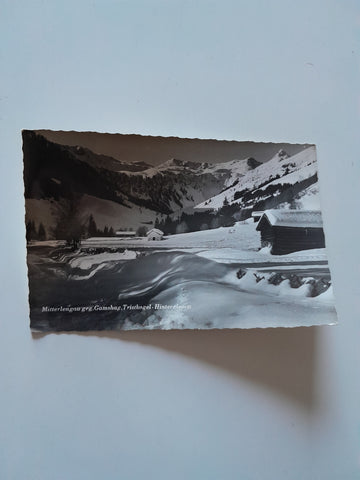 AK Mitterlengau geg. Gamshag, Tristkogel Hinterglemm.