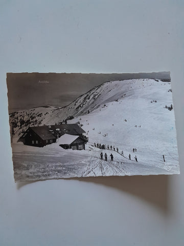 AK Saalbach. Schönleiten-Hütte mit Asitzkogel.