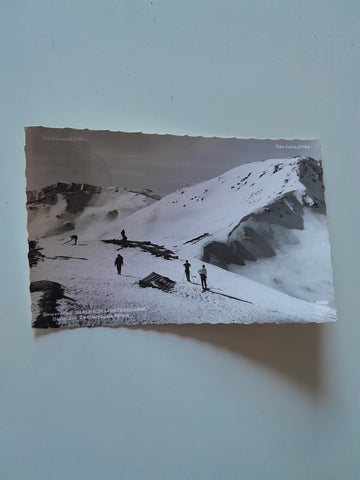 AK Saalbach Hinterglemm. Gipfel Zwölferkogel.
