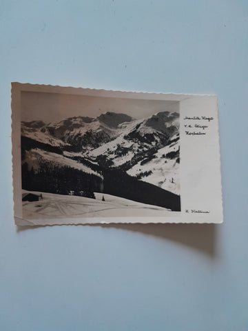 AK Manlitz Kogel v.d. Stieger Hochalm.