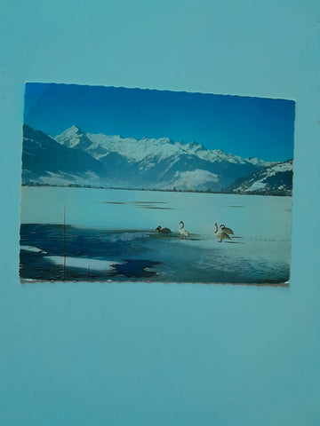AK Zell am See.