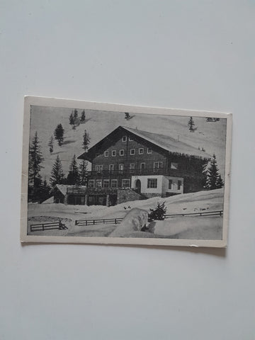 AK Almhof Königsleithen am Gerlosplass. Wald im Pinzgau.