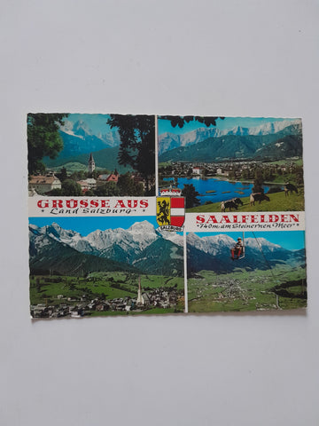 AK Grüße aus Saalfelden.
