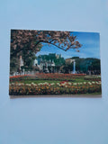 AK Salzburg. Mirabellgarten.