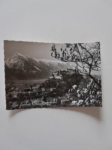 AK Salzburg.