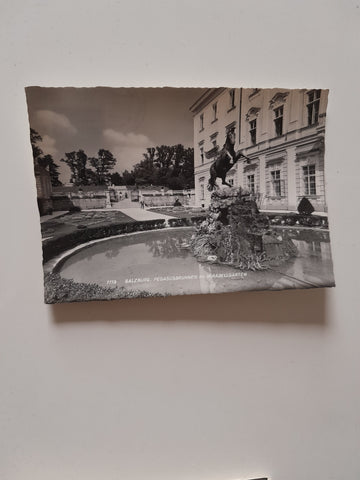 AK Salzburg. Pegasusbrunnen im Mirabellgarten.