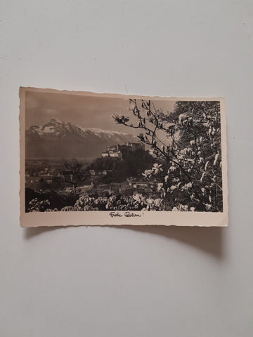 AK Salzburg.