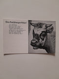 AK Der Salzburger Stier. (1925)