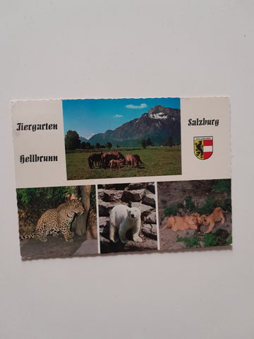 AK Salzburg. Tiergarten Hellbrunn. Bärengehege.