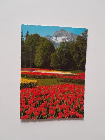 AK Salzburg. Schloßpark Hellbrunn und Untersberg.