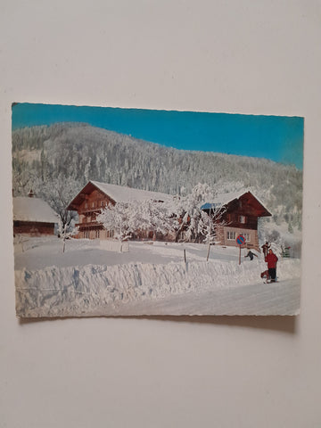 AK Alpengasthof Zistelalpe mit Gaisberg-Spitze.