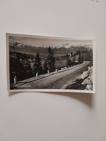 AK Gaisberg. Zistelalpe.