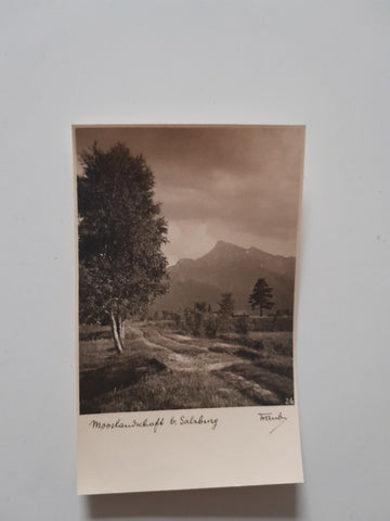 AK Mooslandschaft b. Salzburg.