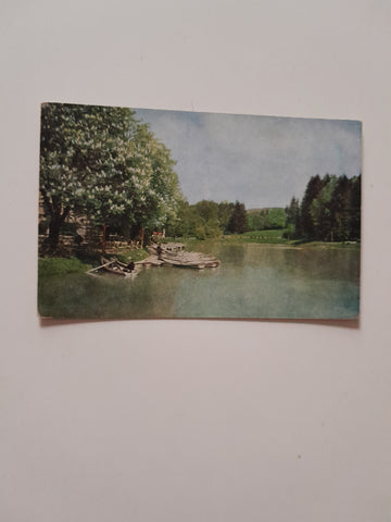 AK Graz Hilmteich. (1918)