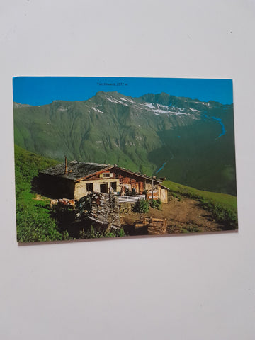 AK Bad Hofgastein. Gadauner Hochalm.