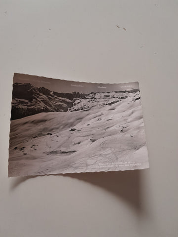 AK Bad Hofgastein. Schlossalm mit Hamburger-Skiheim.