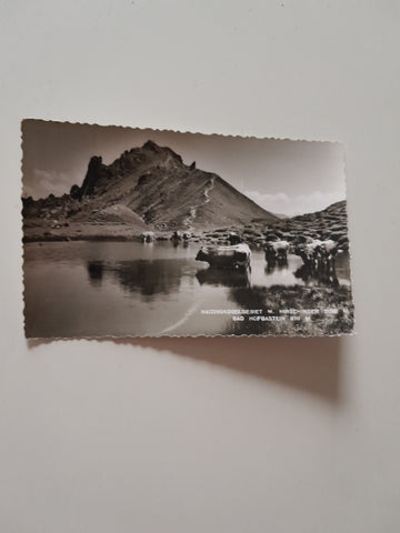 AK Bad Hofgastein. Haizingkogelgebiet m. Hirschinger.