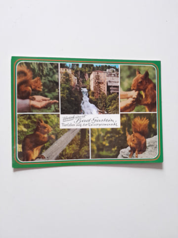 AK Badgastein. Tierleben auf der Kaiserpromenade.