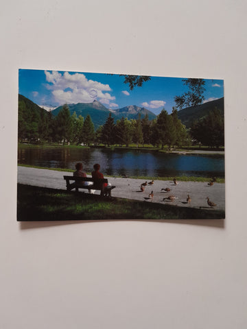 AK Bad Hofgastein. Kurpark.