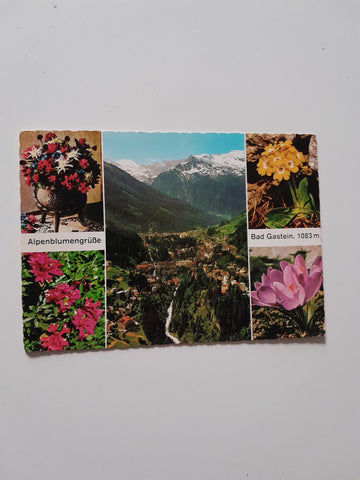 AK Alpenblumengrüße Bad Gastein.