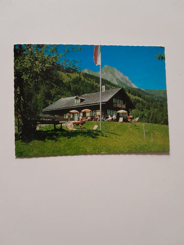 AK Dorfgastein. Jausenstation Strohlehenalm.