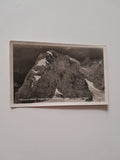 AK Mitterspitze, Torstein Bischofsmütze vom Dachstein.