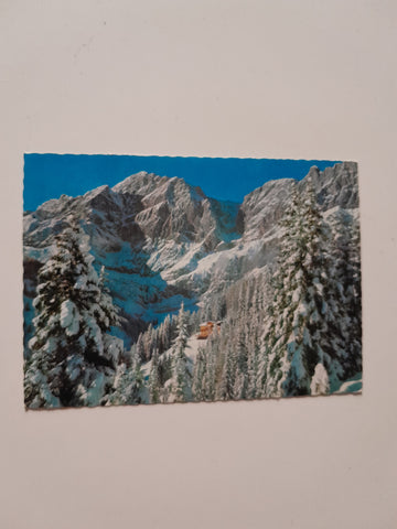 AK Alpengasthof Rupertihaus. Besitzer: Seep und Paula Bradl. Riedingtal.