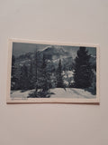 AK Obertauern (Wisenegg) Glöcknerin im Schneetreiben. (Sigmund Pollak) (1922)