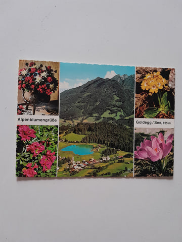AK Alpenblumengrüße aus Goldegg.