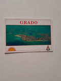 AK Grado.