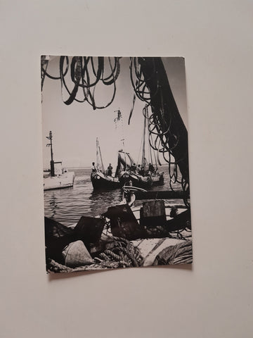 AK Grado. Il Porto.