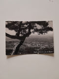 AK Trieste - Panorama visto da Opicina.