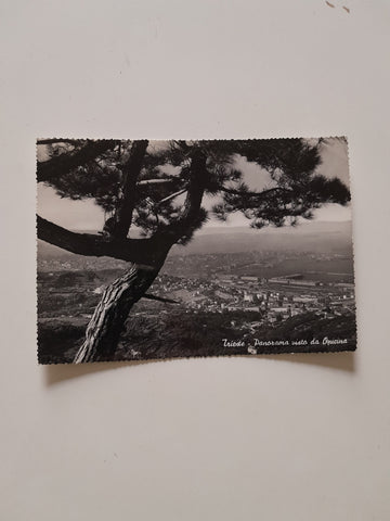 AK Trieste - Panorama visto da Opicina.