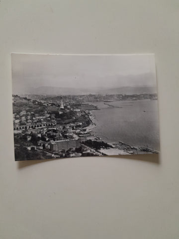 AK Trieste Panorama.