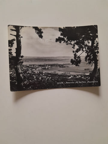 AK Trieste - Panorama dal Sentiero Napoleonico.