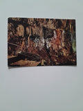 AK Trieste. Grotta Gigante, Il Palazzo delle ninfe.