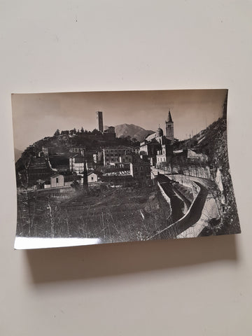 AK Gemona del Friuli Porta Udine Viale del Turco.