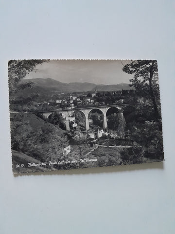 AK Belluno. Ponte della ferrovia. Col Visentin.