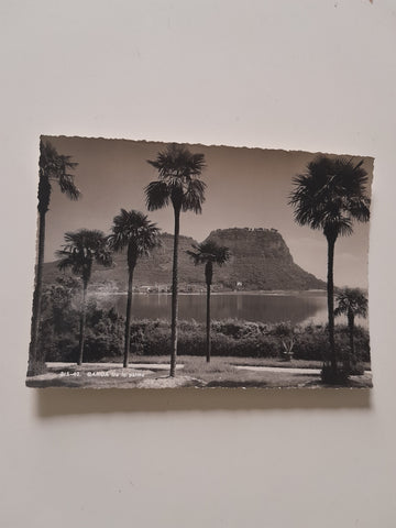 AK Garda fra le palme.