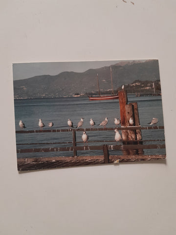 AK Bardolino. Lago di Garda.