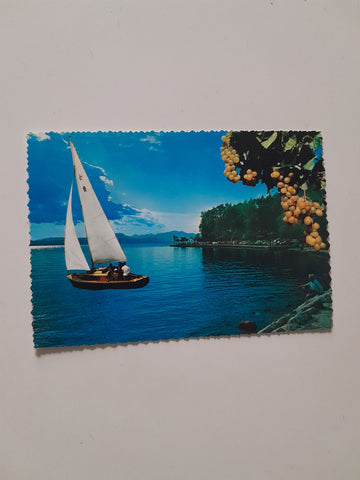 AK Bardolino. Lago di Garda. Lungo Lago.