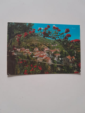 AK Colli Euganei Arqua Petrarca.