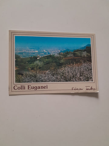 AK Torreglia Alta Colli Euganei. Ciliegi in fiore.