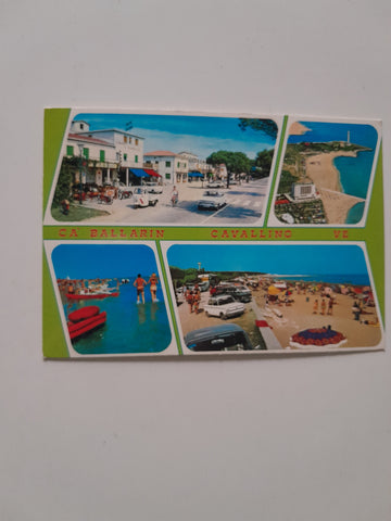 AK Ca'Ballarin. Cavallino.