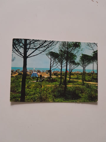 AK Marina di Eraclea. La Pineta.