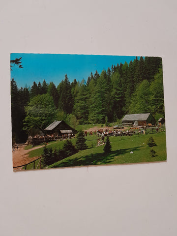 AK Almgasthaus Zum Guten Hirten Fam. Harrer Am Ausstieg der Bärenschützklamm bei Mixnitz.