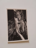 AK Hochlantsch Bärenschütz. (1941)
