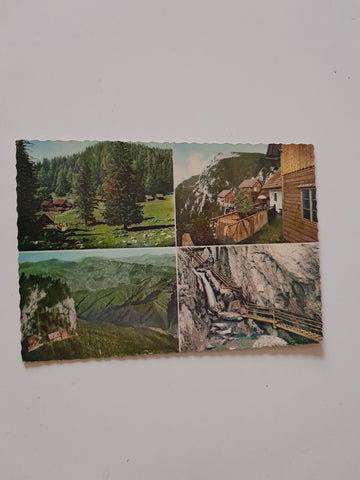 AK Gasthaus zum Guten Hirten. Gasthaus zum Steirischen Jockl. Schüsserlbrunn. Aus der Bärenschützklamm.
