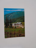 AK Teichalm. Almgasthof Vorauer.