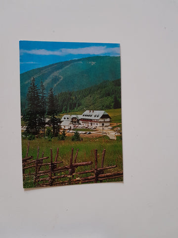 AK Teichalm. Almgasthof Vorauer.